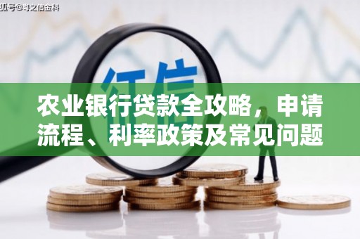 云溪农业银行贷款全攻略，申请流程、利率政策及常见问题解析