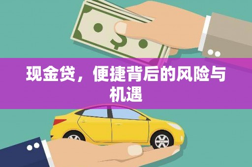 云溪现金贷，便捷背后的风险与机遇
