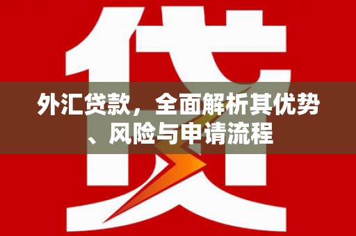云溪外汇贷款，全面解析其优势、风险与申请流程