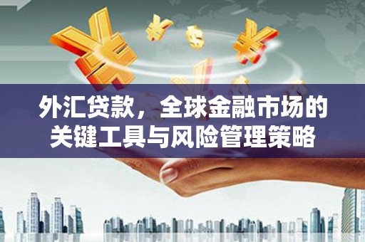 云溪外汇贷款，全球金融市场的关键工具与风险管理策略
