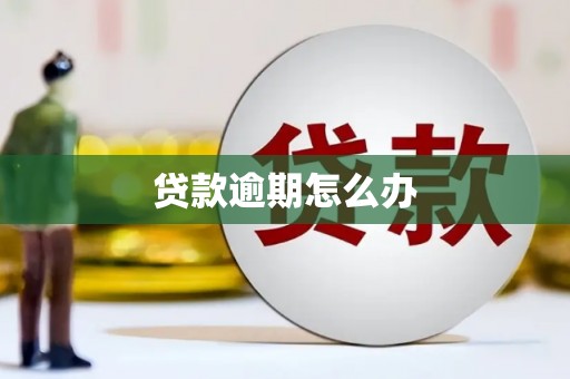 云溪贷款逾期怎么办
