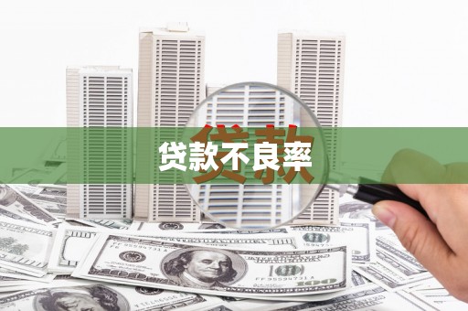 云溪贷款不良率