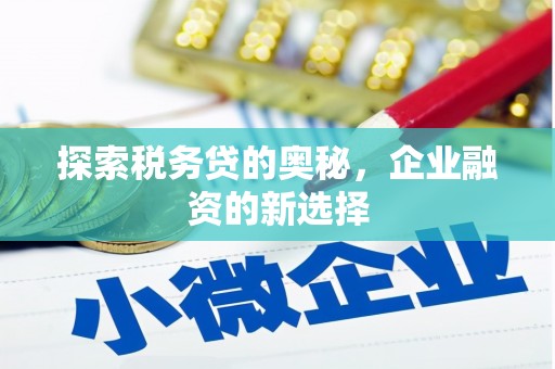 云溪探索税务贷的奥秘，企业融资的新选择