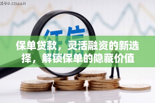云溪保单贷款，灵活融资的新选择，解锁保单的隐藏价值