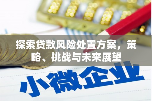 云溪探索贷款风险处置方案，策略、挑战与未来展望