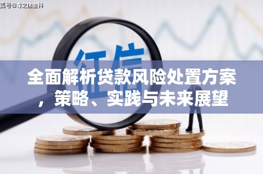 云溪全面解析贷款风险处置方案，策略、实践与未来展望