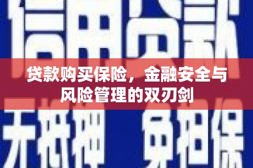云溪贷款购买保险，金融安全与风险管理的双刃剑