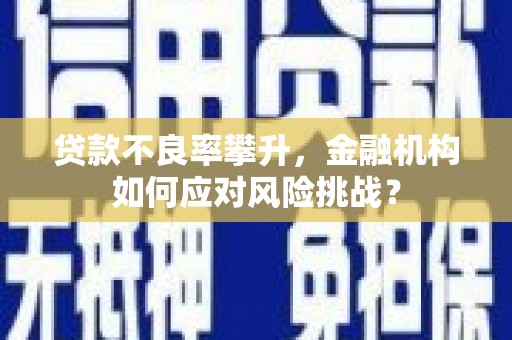 云溪贷款不良率攀升，金融机构如何应对风险挑战？