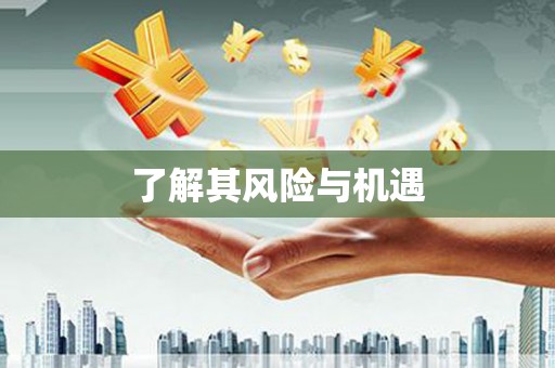 云溪了解其风险与机遇