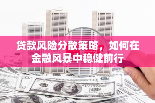 云溪贷款风险分散策略，如何在金融风暴中稳健前行