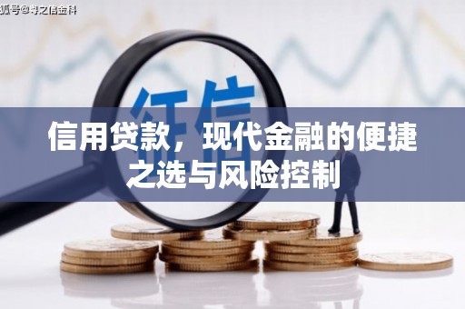 云溪信用贷款，现代金融的便捷之选与风险控制