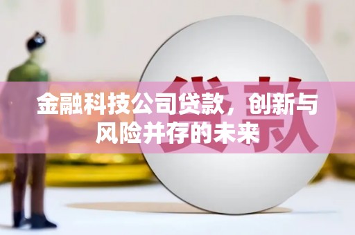 云溪金融科技公司贷款，创新与风险并存的未来
