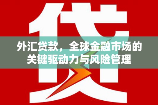 云溪外汇贷款，全球金融市场的关键驱动力与风险管理