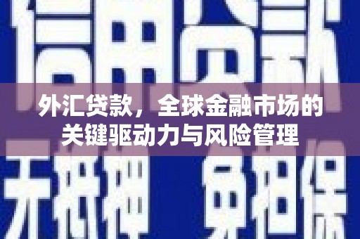 云溪外汇贷款，全球金融市场的关键驱动力与风险管理