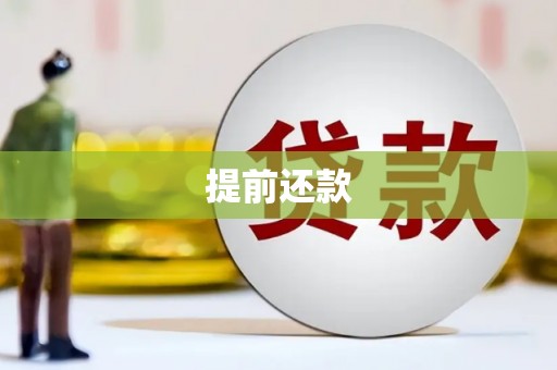 云溪提前还款