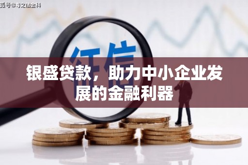 云溪银盛贷款，助力中小企业发展的金融利器