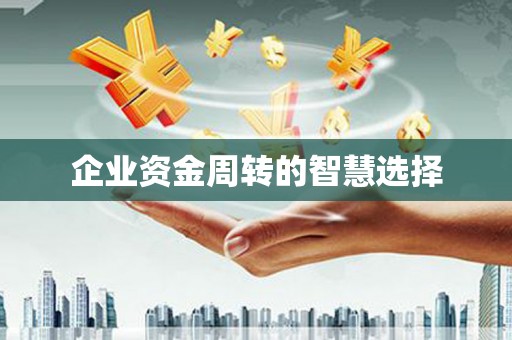 云溪企业资金周转的智慧选择