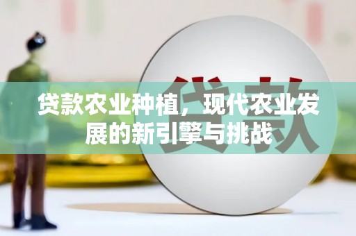 云溪贷款农业种植，现代农业发展的新引擎与挑战