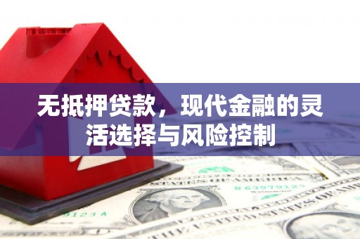 云溪无抵押贷款，现代金融的灵活选择与风险控制