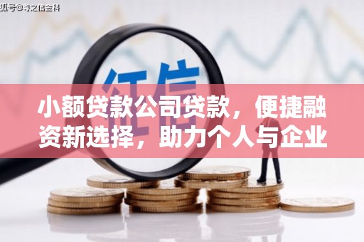 云溪小额贷款公司贷款，便捷融资新选择，助力个人与企业成长