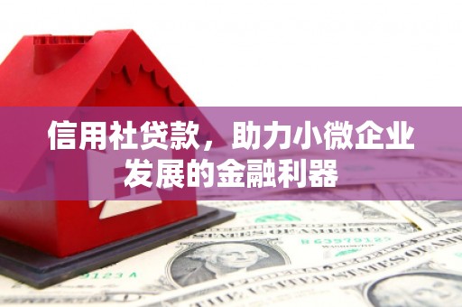 云溪信用社贷款，助力小微企业发展的金融利器