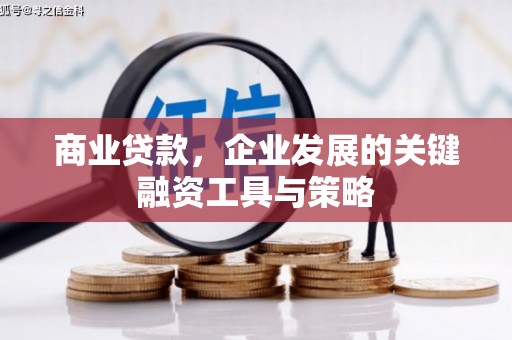 云溪商业贷款，企业发展的关键融资工具与策略