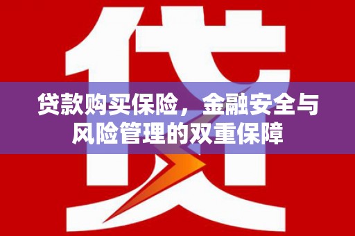 云溪贷款购买保险，金融安全与风险管理的双重保障