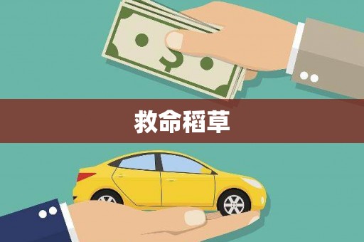 云溪救命稻草