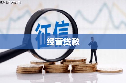 云溪经营贷款