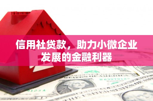 云溪信用社贷款，助力小微企业发展的金融利器