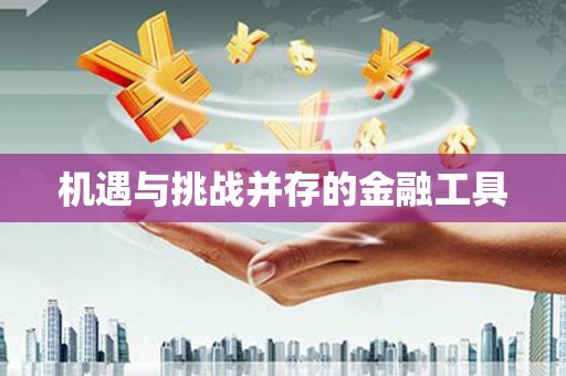 云溪机遇与挑战并存的金融工具