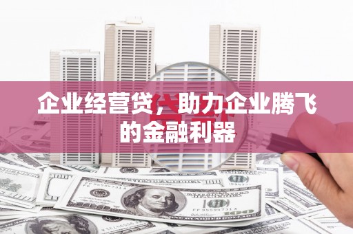 云溪企业经营贷，助力企业腾飞的金融利器