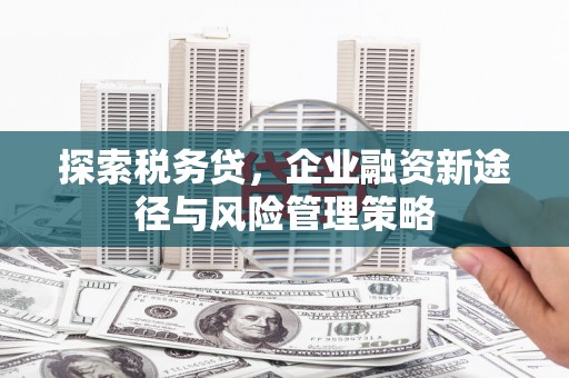 云溪探索税务贷，企业融资新途径与风险管理策略