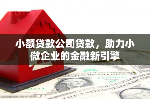 云溪小额贷款公司贷款，助力小微企业的金融新引擎