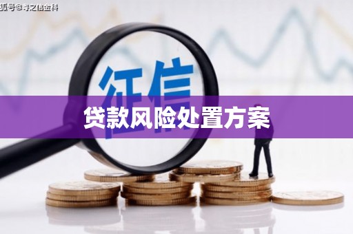 云溪贷款风险处置方案