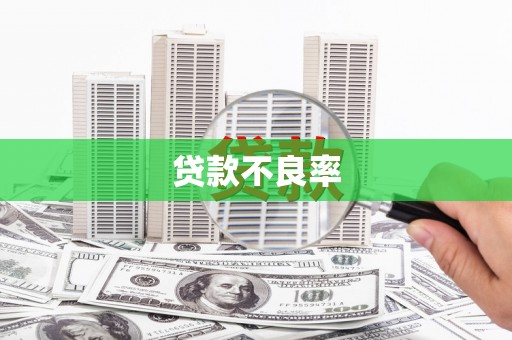 云溪贷款不良率