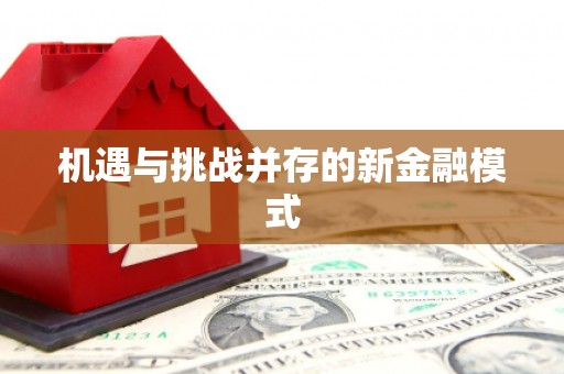 云溪机遇与挑战并存的新金融模式