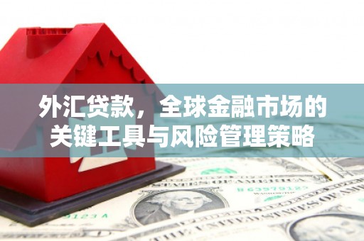 云溪外汇贷款，全球金融市场的关键工具与风险管理策略