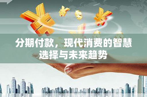 云溪分期付款，现代消费的智慧选择与未来趋势