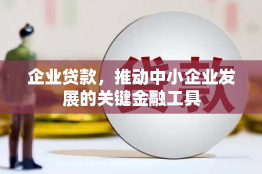 云溪企业贷款，推动中小企业发展的关键金融工具