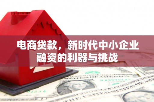 云溪电商贷款，新时代中小企业融资的利器与挑战