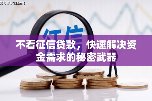 云溪不看征信贷款，快速解决资金需求的秘密武器