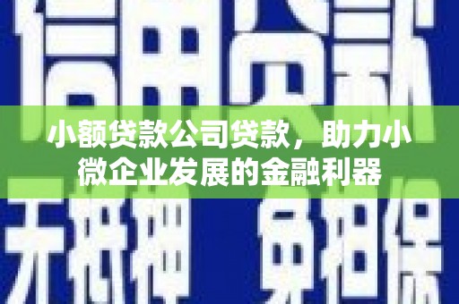 云溪小额贷款公司贷款，助力小微企业发展的金融利器