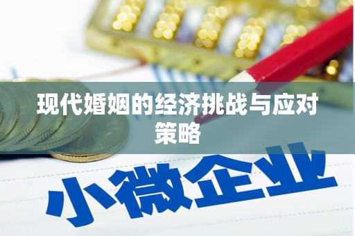云溪现代婚姻的经济挑战与应对策略