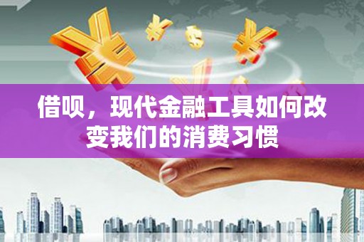 云溪借呗，现代金融工具如何改变我们的消费习惯