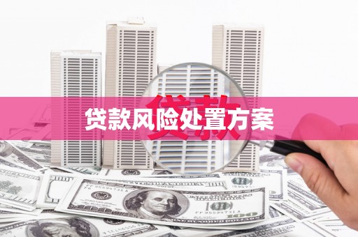 云溪贷款风险处置方案