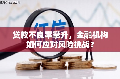 云溪贷款不良率攀升，金融机构如何应对风险挑战？
