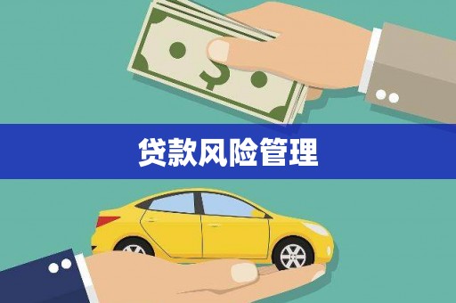 云溪贷款风险管理