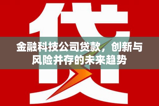 云溪金融科技公司贷款，创新与风险并存的未来趋势