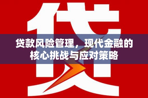 云溪贷款风险管理，现代金融的核心挑战与应对策略